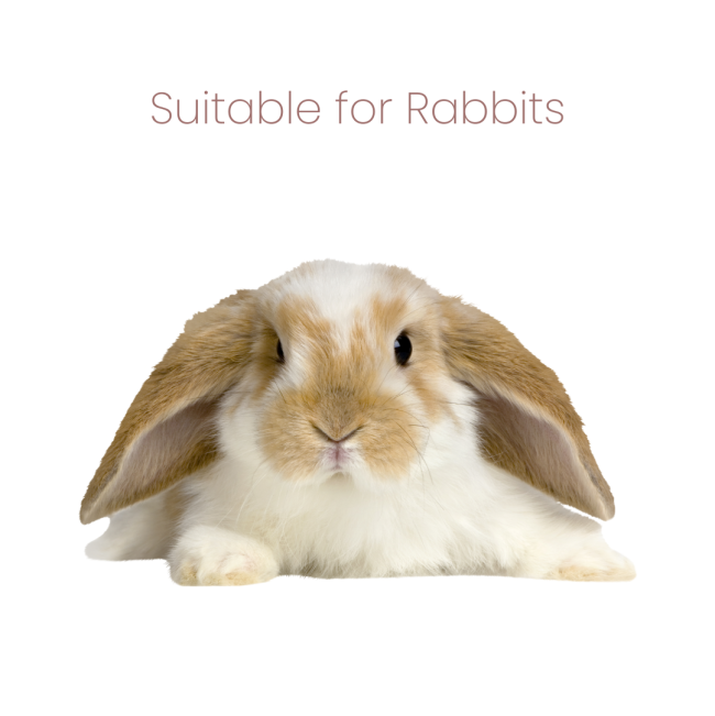 Animal Zone Rabbit Food suitable for all types of rabbits