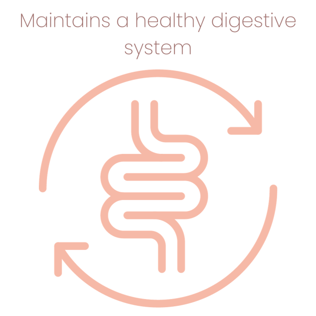Animal Zone Rabbit Food maintains a healthy digestive system