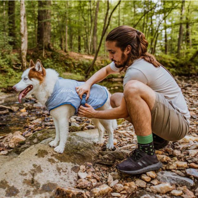 Kurgo Core Cooling Vest lifestyle on white and brown dog