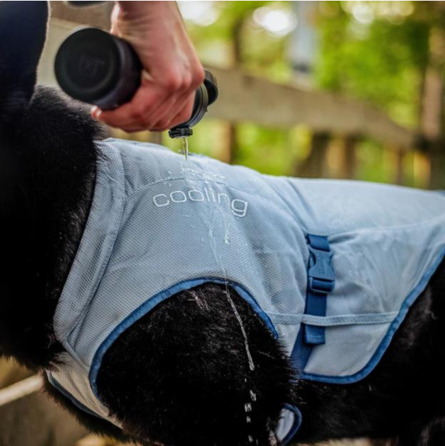 Kurgo Core Cooling Vest close up while pouring water on vest