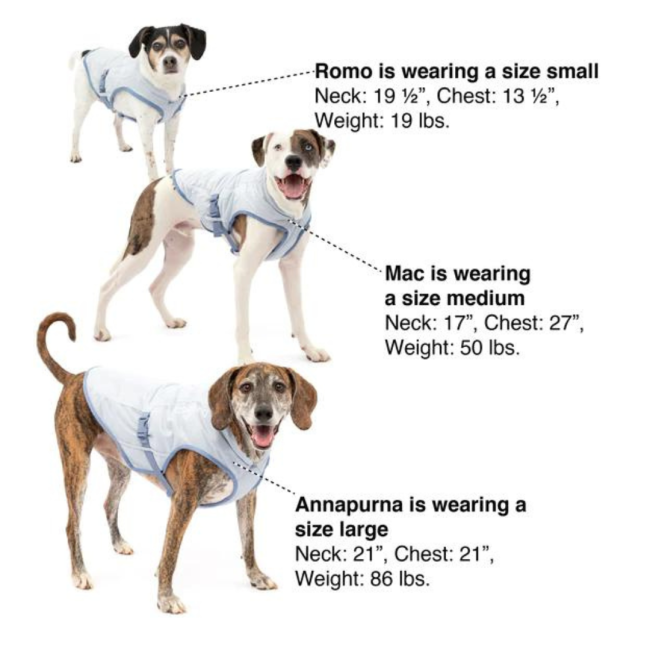 Kurgo Core Cooling Vest sizing of dogs