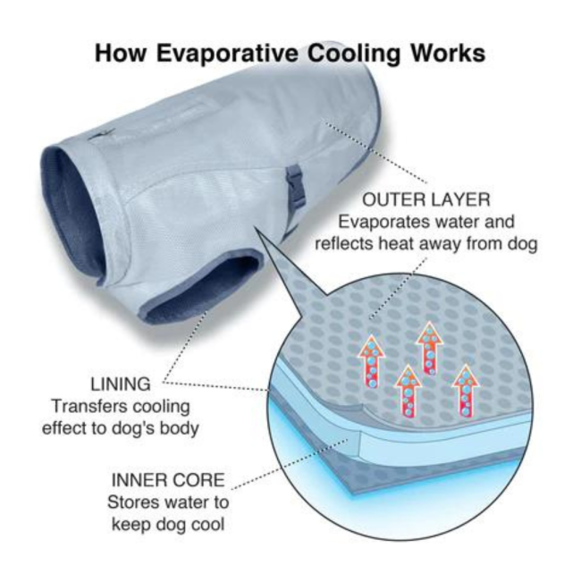 Kurgo Core Cooling Vest how the vest works to cool your dogs down