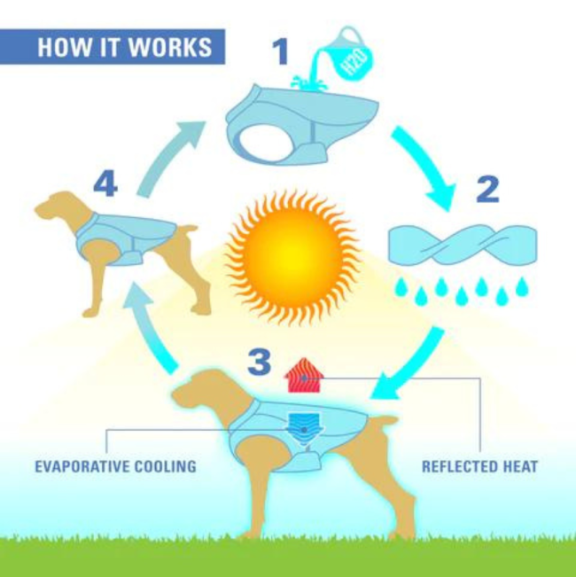 Kurgo Core Cooling Vest infographic of how the vest works