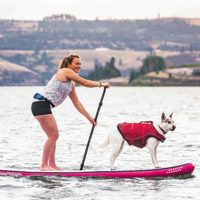 Kurgo Surf n Turf Life Jacket lifestyle with dog in jacket on surf board