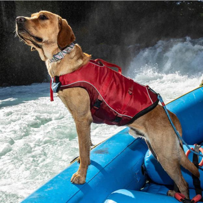 Kurgo Surf n Turf Life Jacket on dog in boat on te water