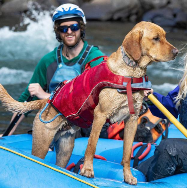 Kurgo Surf n Turf Life Jacket on dog in boat while river rafting
