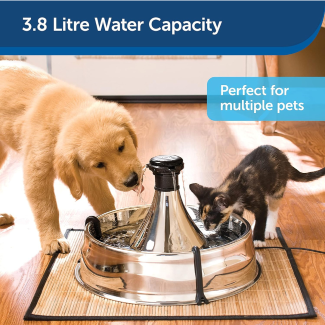 Drinkwell 360° Stainless Steel Pet Fountain – 3.8L lifestyle with cat and dog