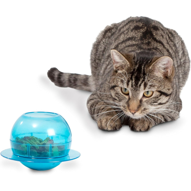 Fishbowl Cat Feeder Toy with Kibble inside and cat on the side