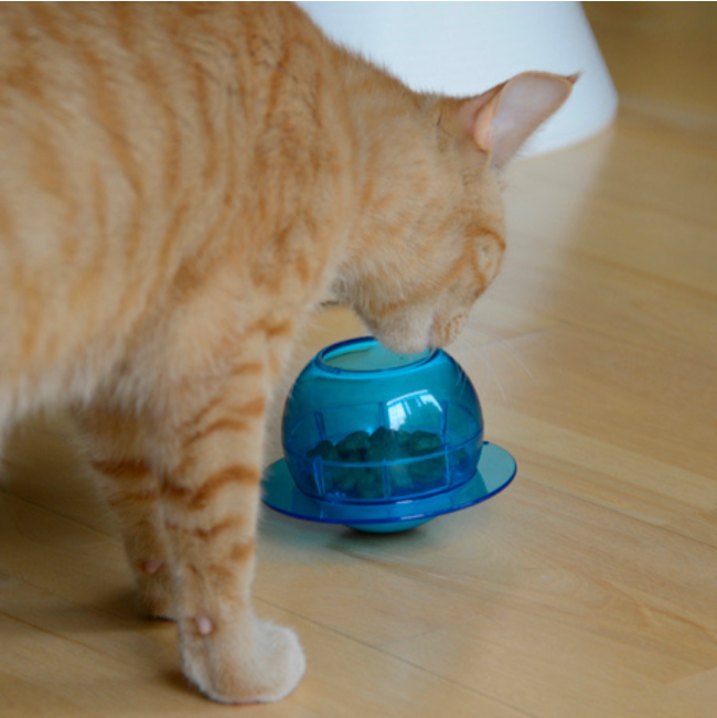 Fishbowl Cat Feeder Toy lifestyle with ginger cat