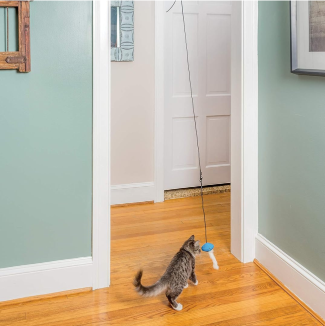 Funkitty Doorway Dangli with cat in doorway playing
