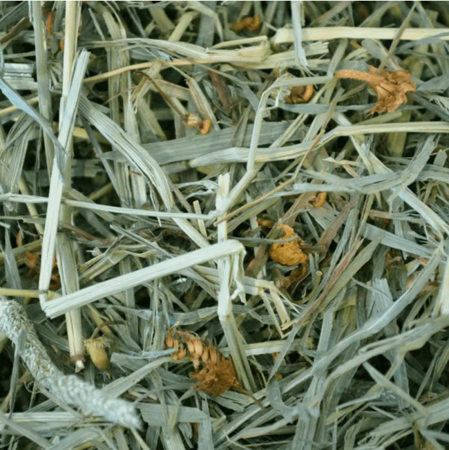 Botanical Grass Feeding Hay for Small Pets actual feeding hay