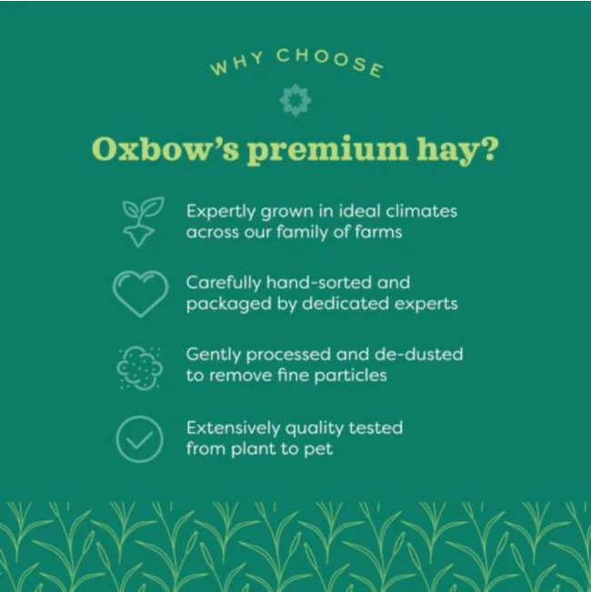 Botanical Grass Feeding Hay for Small Pets is premium hay