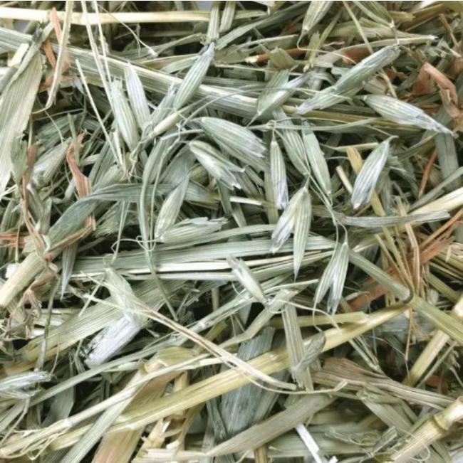 Oat Grass Feeding Hay For Small Pets actual Hay
