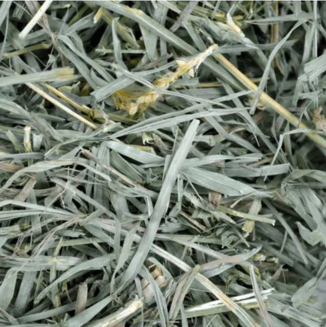 Organic Meadow Grass feeding Hay For Small Pets actual hay