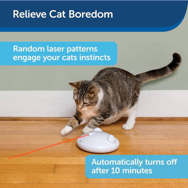 FroliCat® Zip Laser Toy relief for boredom