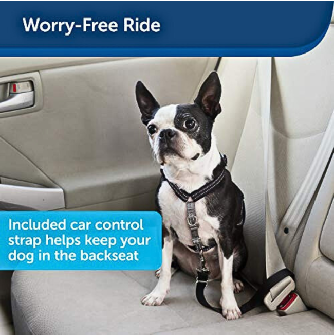 PetSafe® 3 in 1™ Harness and Car Restraint worry free ride