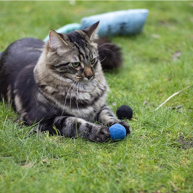Battersea Catnip Toys For Cats lifestyle with grey cat and ball design