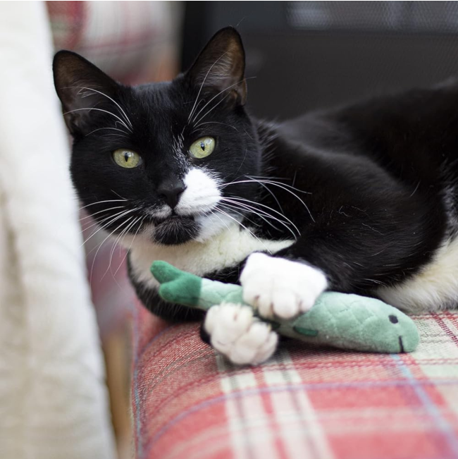 Battersea Catnip Toys For Cats lifestyle four with green fish