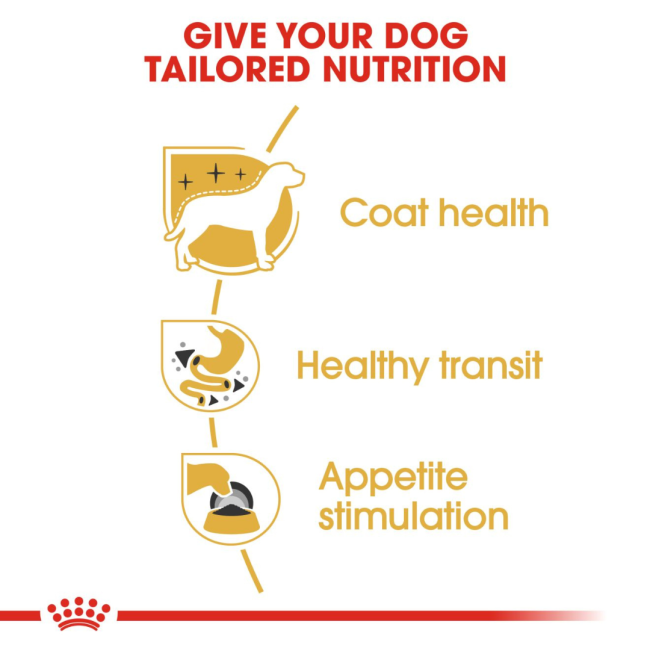 Royal Canin Adult Chihuahua Wet Dog Food tailored nutrition
