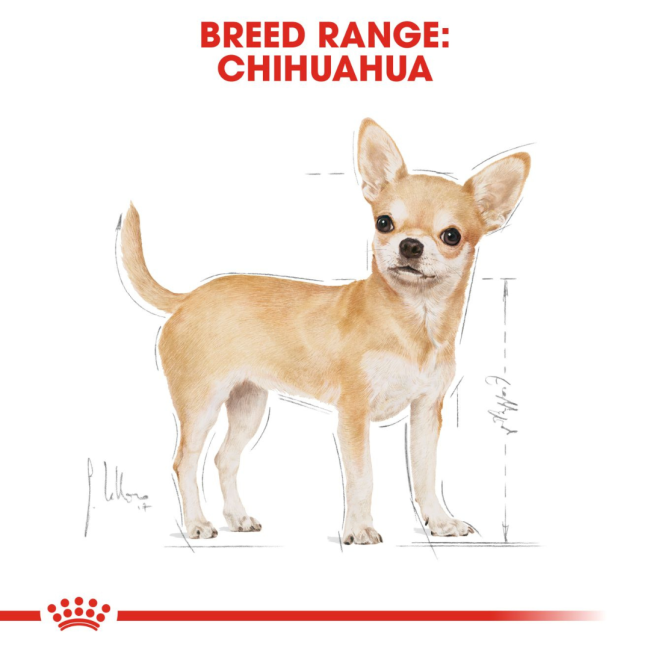 Royal Canin Adult Chihuahua Wet Dog Food formulated breed range