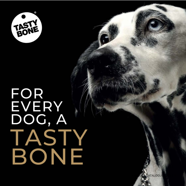 Tasty Bone Chew Toy for every dog a perfect sized bone