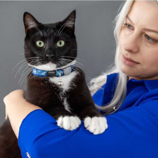 Rogz FashionCat Collar lifestyle one