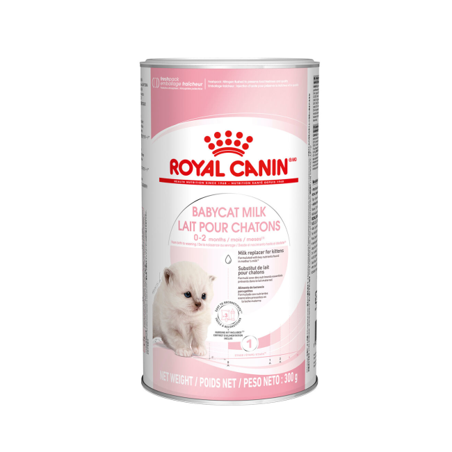 Royal canin milk kitten online