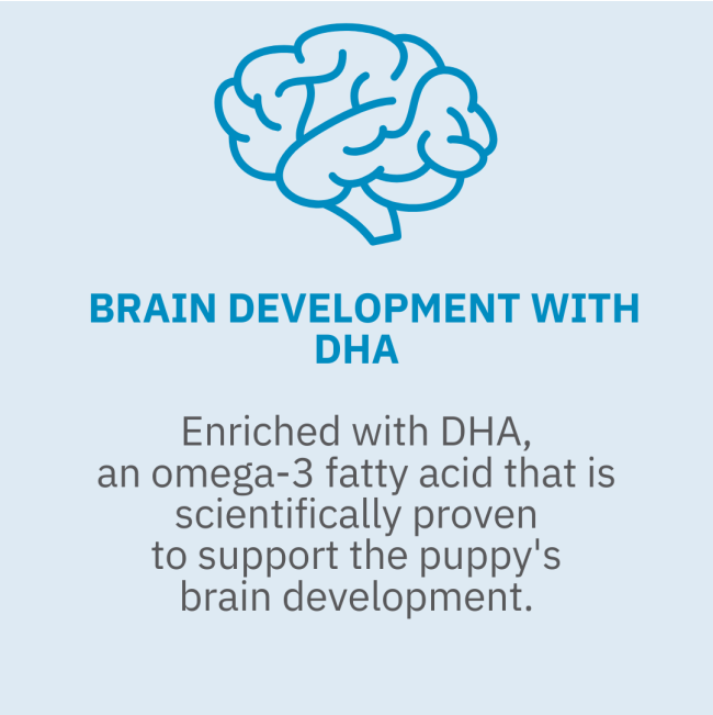 Royal Canin Babydog Milk for Puppies helps brain development
