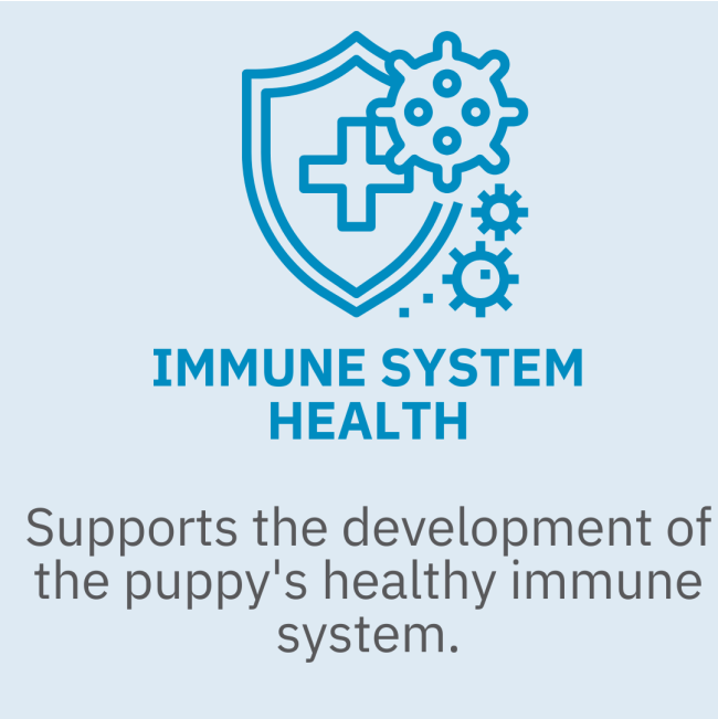 Royal Canin Babydog Milk for Puppies immune health