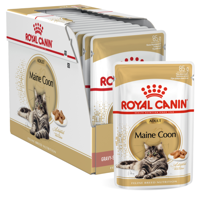 Royal Canin Adult Maine Coon Wet Cat Food in box