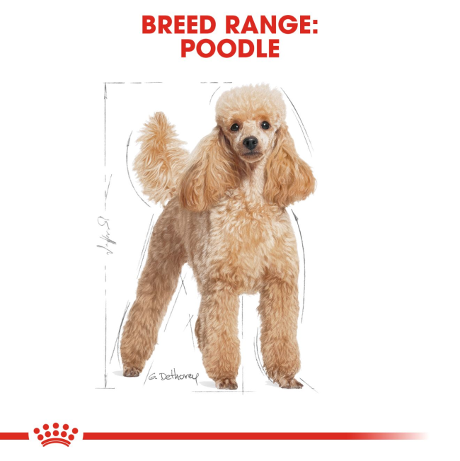 Royal Canin Adult Poodle Wet Dog Food breed range