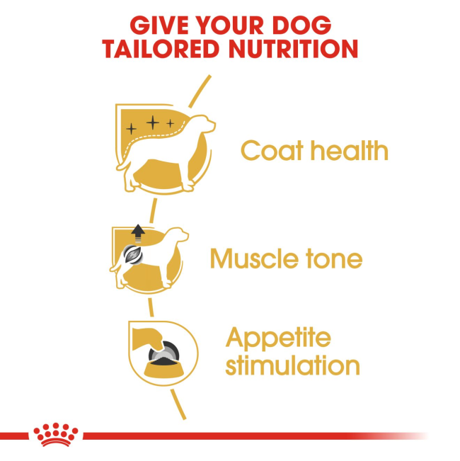 Royal Canin Adult Poodle Wet Dog Food information image