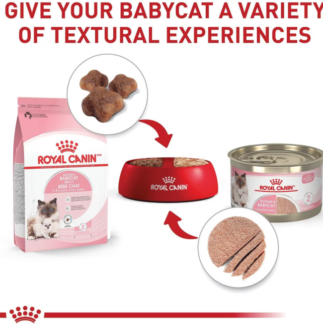 Royal Canin Babycat Instinctive Tin Kitten Wet Cat Food variety of textures