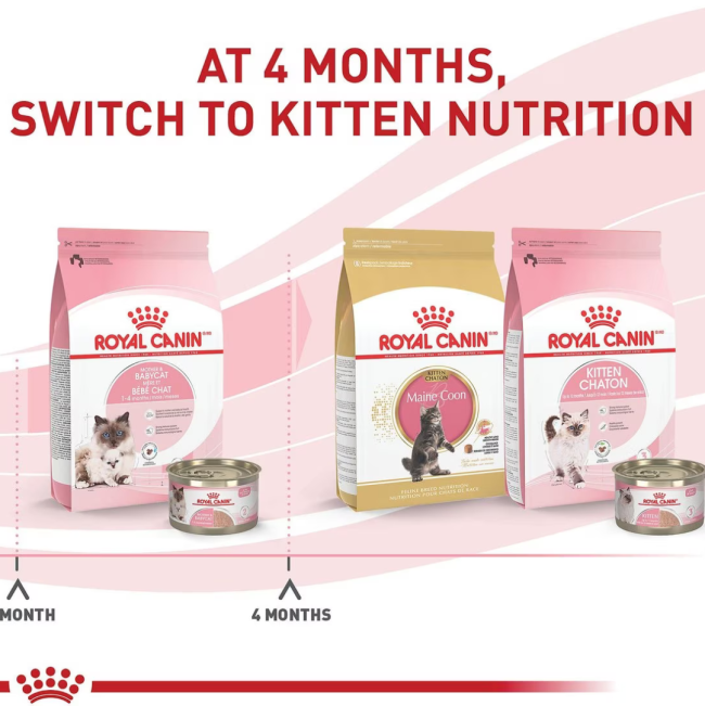 Royal Canin Babycat Instinctive Tin Kitten Wet Cat Food switch at 4 months old