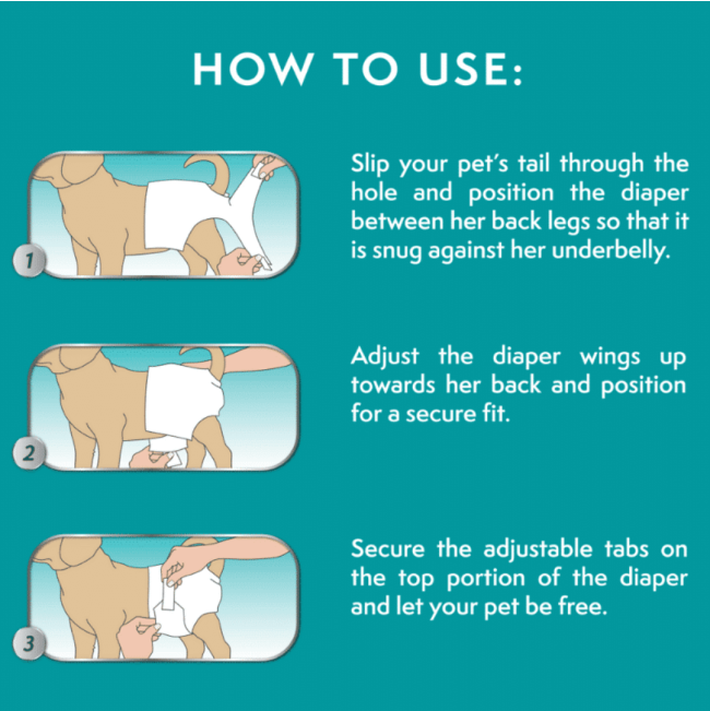 Simple Solution Disposable Diapers for Dogs how to apply the diaper