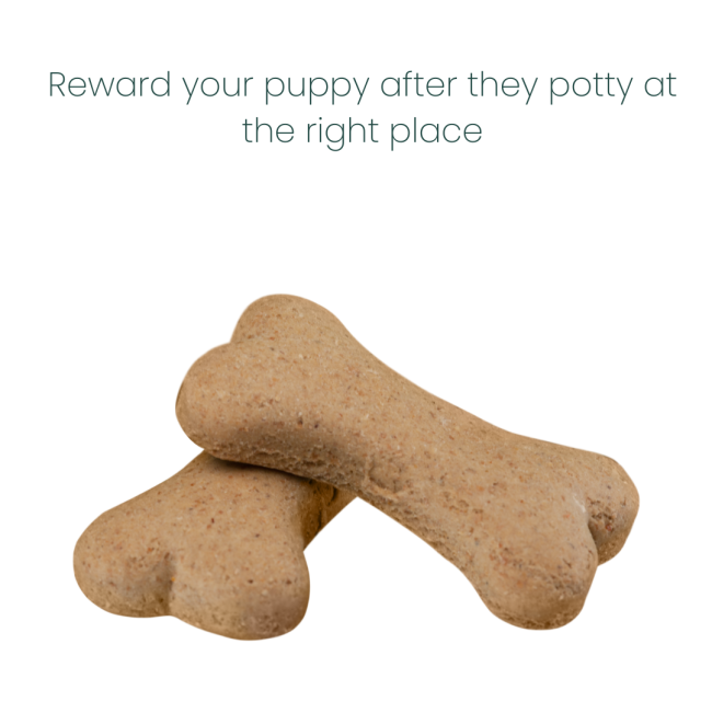 Beaphar Dog Puppy Trainer Drops use with treat for reinforcements