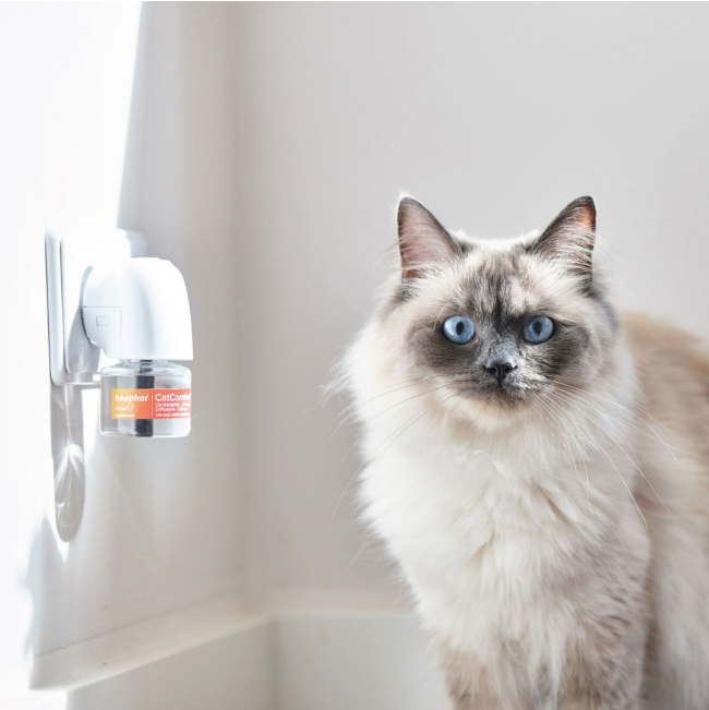 Beaphar Cat Catcomfort Calming Diffuser Start-Kit lifestyle image