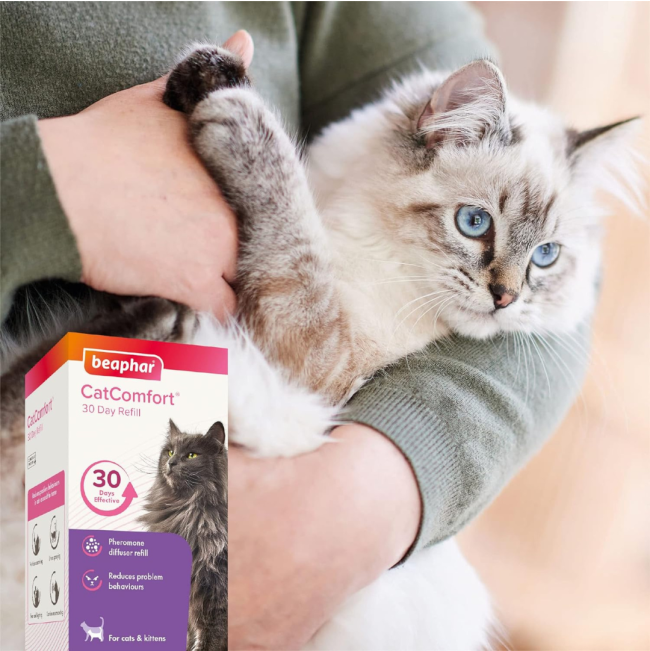 Beaphar Cat Catcomfort Calming Diffuser Refill lifestyle two