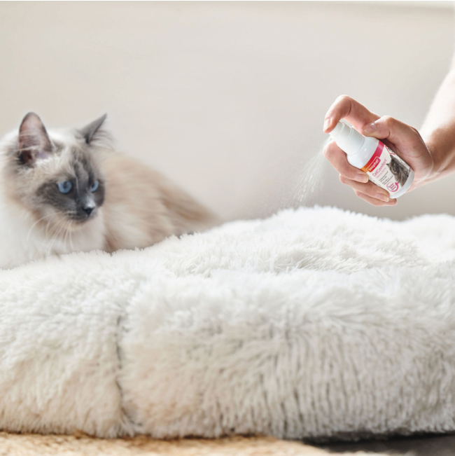 Beaphar Cat Catcomfort Calming Spray being used on bed