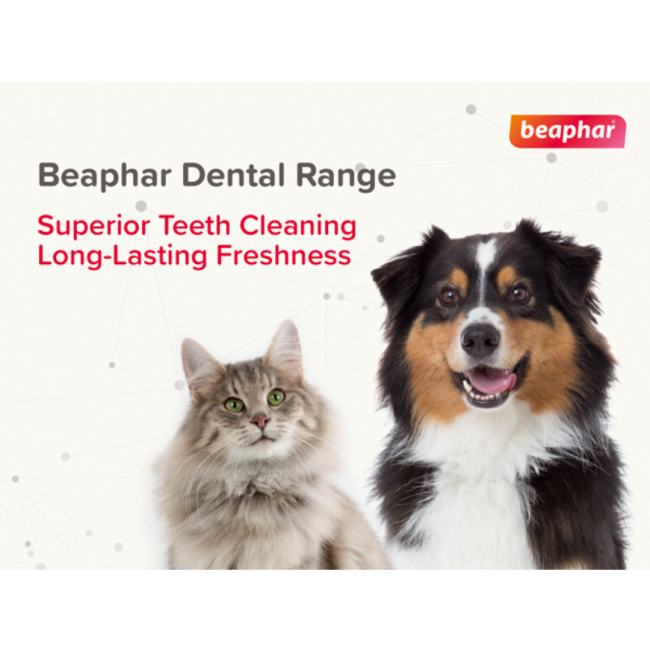 Beaphar Dog Plaque Away Water Additive superior teeth cleaning