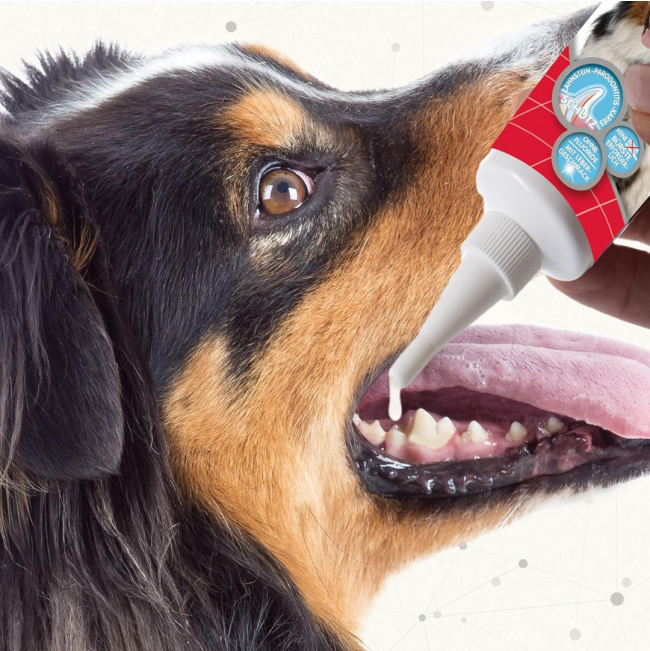 Beaphar Cat & Dog Toothgel apply on theeth