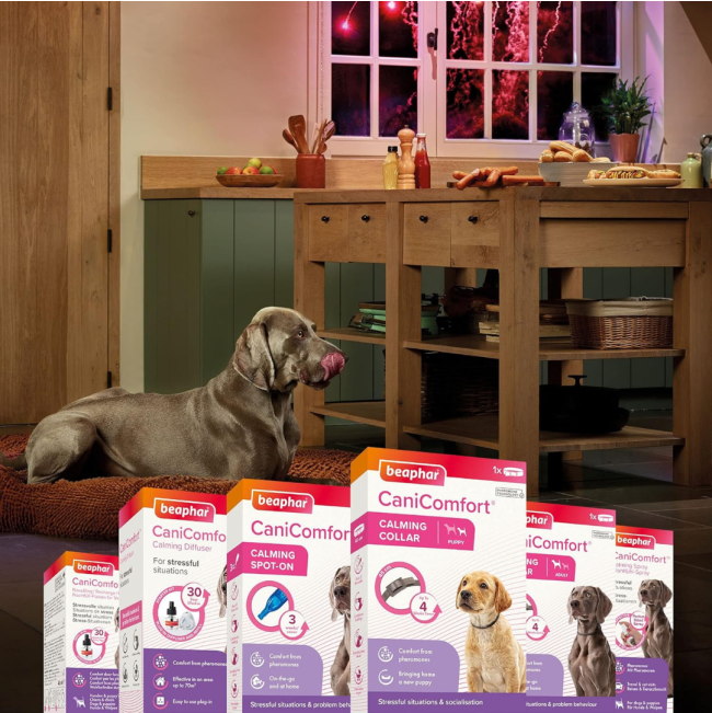 Beaphar Dog Canicomfort Calming Diffuser Start-Kit calming range
