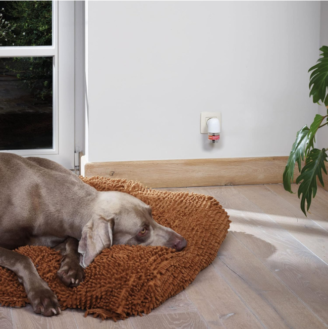 Beaphar Dog Canicomfort Calming Diffuser Refill lifestyle one