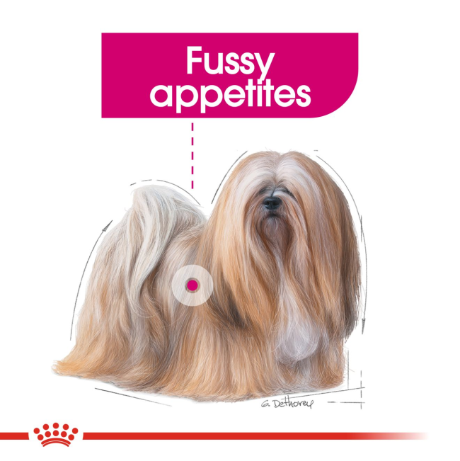 Royal Canin Exigent Wet Dog Food fussy eaters
