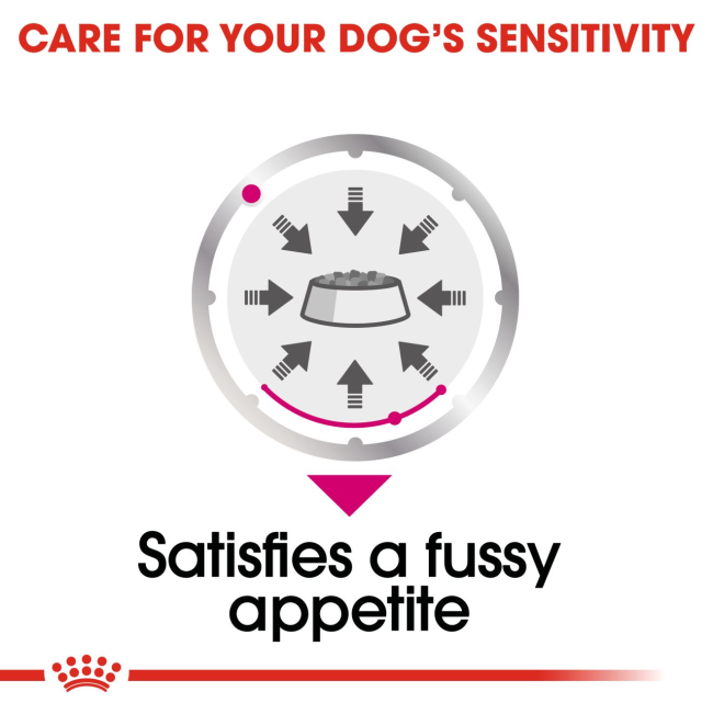Royal Canin Exigent Wet Dog Food dog's sensitivity