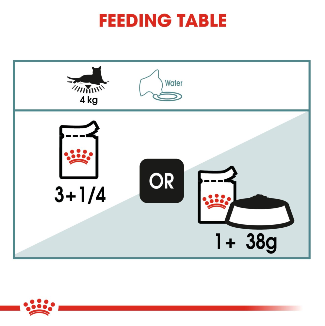Royal Canin Hairball Care Wet Cat Food feeding guide