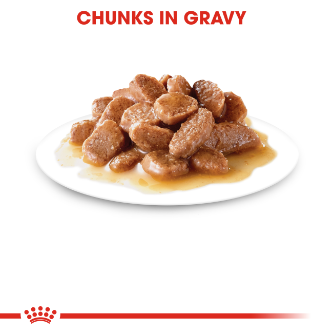 Royal Canin Instinctive Adult Wet Cat Food +7 chunks in gravy