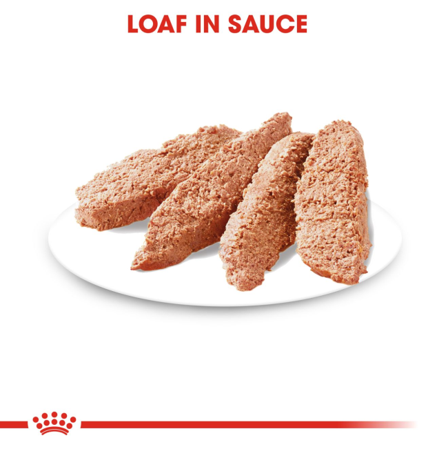 Royal Canin Light Weight Care Wet Dog Food loaf in sauce