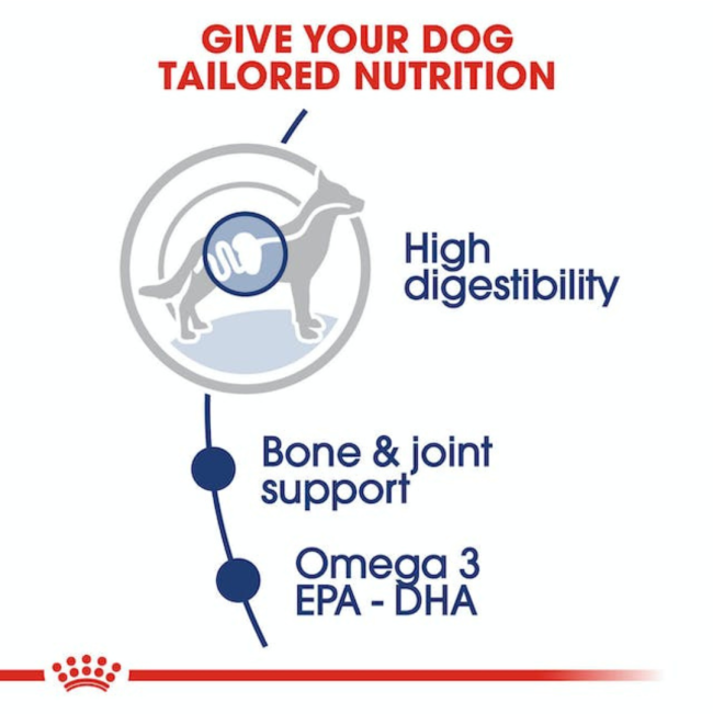 Royal Canin Maxi Adult Wet Dog Food tailored nutrition