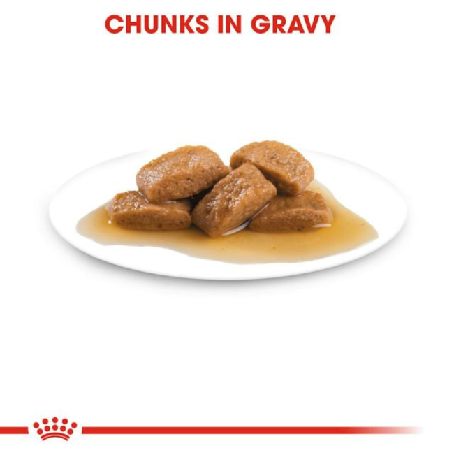 Royal Canin Maxi Adult Wet Dog Food chunks in gravy